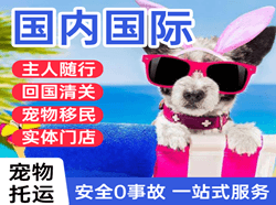 衡阳南岳航空运输国际宠物托运 【国